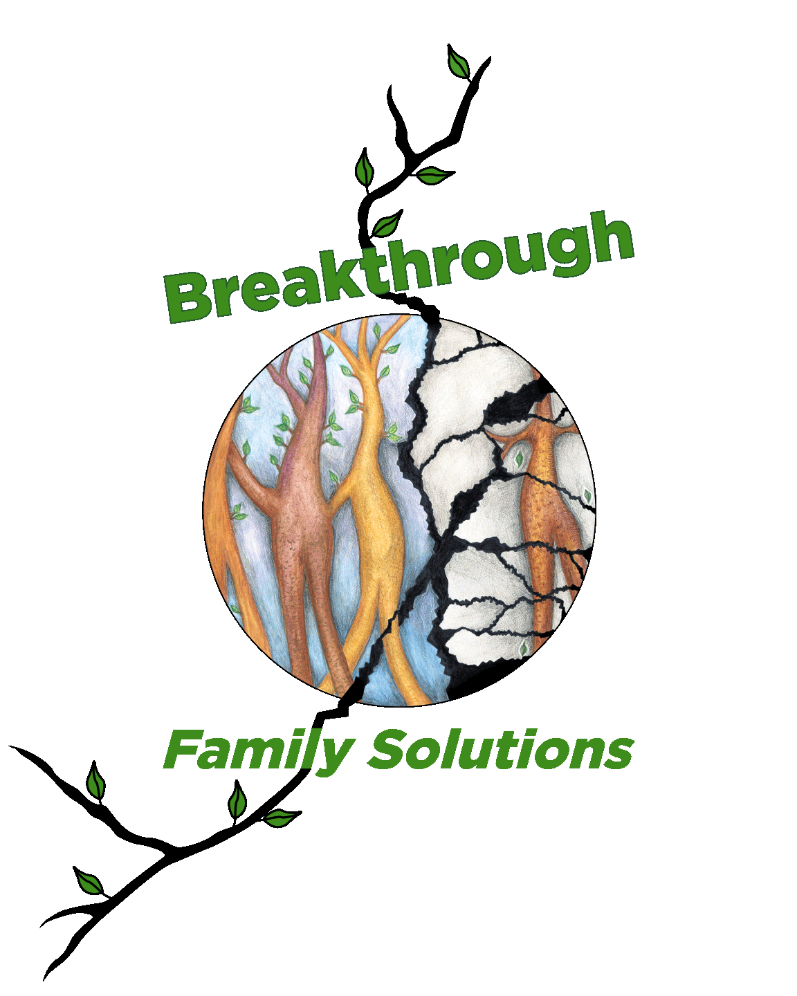 Breakthrough Family Solutions